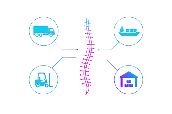 Digital Spine Visualization